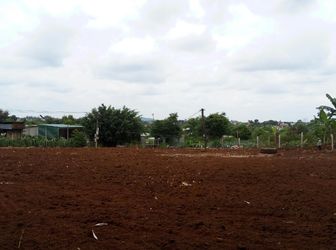 Đất Dự Án Đầu Tiên Tại Cư Ebur Nằm Tại Vị Trí Thôn 3 Cư Ebur, Cách Đường Tỉnh Lộ 5 100M