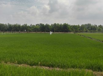 Có 2 Lô Đất Nông Nghiệp Rẻ Nhất Hóc Môn Chỉ 450K/m2