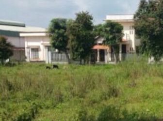 Đất Phạm Văn Hai & Trần Văn Giàu_ Bình Chánh, 200 Tr  Dt  8 X 15M, Shr