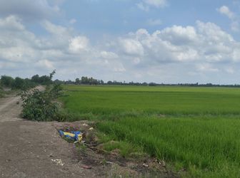 Bán 2 Lô Đất Nông Nghiệp Huyện Hóc Môn 450 K/m2