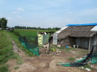 Bán 2 Lô Đất Nông Nghiệp Huyện Hóc Môn 450 K/m2