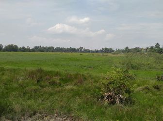 Bán 2 Lô Đất Nông Nghiệp Huyện Hóc Môn 450 K/m2