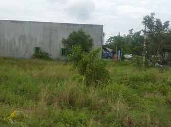 Đất Thổ Cư Ngã Ba Mỹ Hạnh 115m2, 259 Tr, Shr