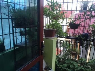 Nhà Yên Xá – Tân Triều 40M2X4T Mặt Tiền 5M Nở Hậu Hoàn Thiện Đẹp Giá 2 Tỉ 3 Mặt Thoáng