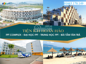 Mở Bán Đất Nền Ven Sông Cổ Cò, Hấp Dẫn Đầu Tư Giá Rẻ Bất Ngờ