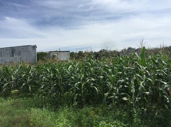 Đất Thủ Dầu Một Giá Cực Tốt, Vị Trí Bao Hot. Lh:0978369507 Ms.Ngọc.