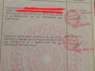 Đất Thổ Cư 100% Đường Lý Thái Tổ Xã Phú Hữu-68M2-Cách Phà 1.5Km.