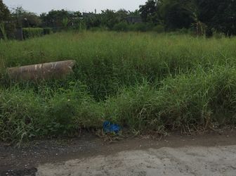 Cần Sang Lại 1000 M2 Đất Xã Tân Quý Tây, Bình Chánh.