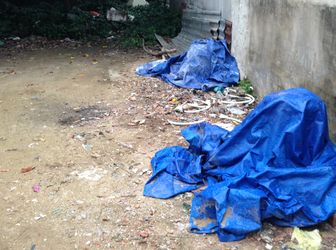 350 Triệu/đất Đại Phước-Nhơn Trạch,cát Lái 2Km Sổ Hồng Riêng,bao Sang Tên