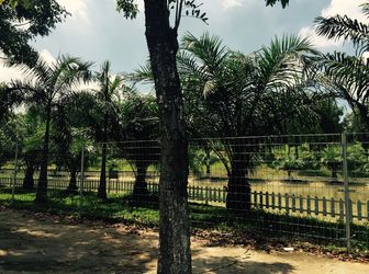 Khu Đô Thị Tân Bình Dĩ An Tưng Bừng Mở Bán 23 Ô Đất Mới, Đắc Địa , Đẳng Cấp 01667246248 - 093321203