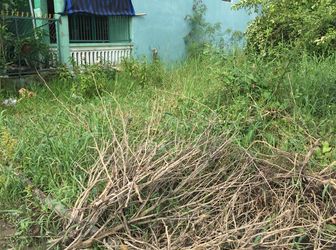 Cần Tiền Bán Gấp 1725 M2 Đường Tân Liểu, Hưng Long, Bình Chánh. Giá 3.5 Tr/ M2