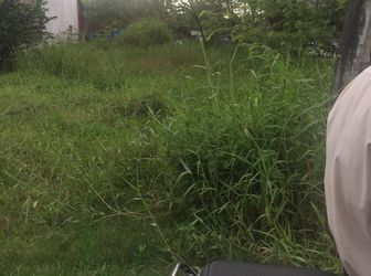 Cần Tiền Cho Con Ăn Học Bán Gấp 1222 M2 Đất Đường Qui Đức, Xã Qui Đức, Bình Chánh Giá 1.3 Tỷ.