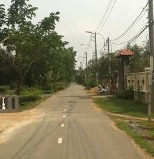 Thanh Lý 870m2 Đất Bình Chánh Mặt Tiền Đường Tân Liễu, Ngang Vĩ Đại, Chỉ 1,8 Tỷ