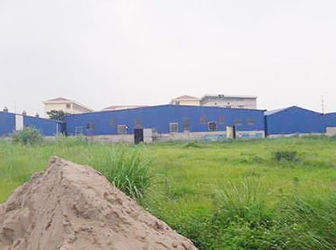 Thanh Lý 870m2 Đất Bình Chánh Mặt Tiền Đường Tân Liễu, Ngang Vĩ Đại, Chỉ 1,8 Tỷ