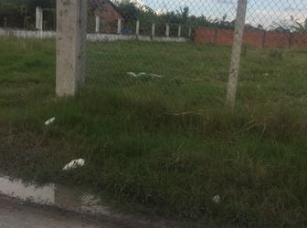 1.7 Tr/ M2 Đường Ô Tô Xã Hưng Long, Bình Chánh.