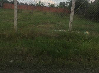 1.7 Tr/ M2 Đường Ô Tô Xã Hưng Long, Bình Chánh.