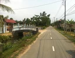 Do Kẹt Tiền Nên Tôi Cần Bán Gấp Miếng Đất Bình Chánh 700m2,ngang 20m, Chỉ 1,4 Tỷ