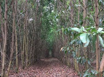 Bán Đất Nhơn Trạch, Xã Vĩnh Thanh, 2 Mặt Tiền, Giá:1,2Tr/1M2,lh: 016.3529.3529