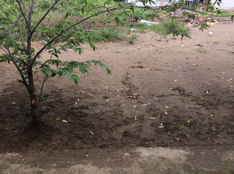 Cần Bán 117M2 Đất Thổ Cư, Shr, Thuộc Tỉnh Lộ 826C Giá 750 Triệu