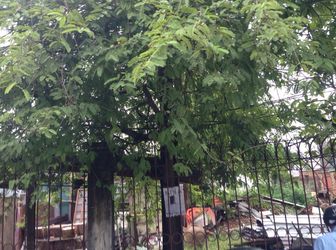 500m2 Đất Thổ Cư Đường Phạm Văn Đồng, Q Thủ Đức Giá 17 Tỷ Thuận Tiện Kinh Doanh