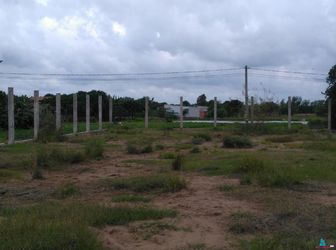 Bán 375M2 Đất Kho Xưởng Full Thổ Cư Giá 3 Tỷ Tại Bùi Văn Sự.