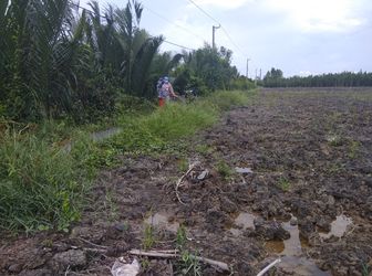 7962m2 Đất Nông Nghiệp , Tiềm Năng (An Thới Đông)