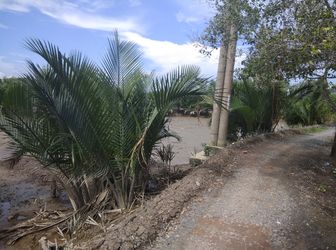 7962m2 Đất Nông Nghiệp , Tiềm Năng (An Thới Đông)