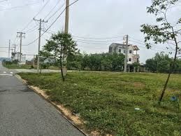 Dự Án Mới - Đất Nền Cổng Trường Đại Học Thủ Dầu Một/Sổ Đỏ Riêng/Thổ Cư 100%.Đường Nhựa 25M