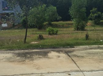 Vợ Chồng Tôi Cần Bán 300m2 Đất Thổ Cư, Shr, (Miễn Trung Gian)