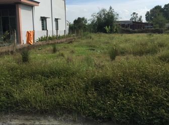 Cần Sang Lại 140 M2 Giá 570Tr Mặt Tiền Đường Ô Tô Xã Hưng Long, Bình Chánh.