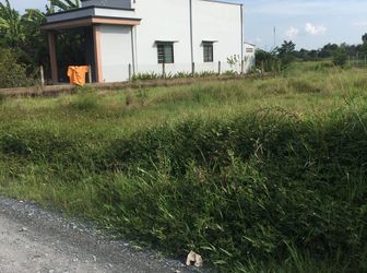 Cần Sang Lại 140 M2 Giá 570Tr Mặt Tiền Đường Ô Tô Xã Hưng Long, Bình Chánh.