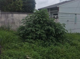 Đất Thổ Cư Chính Chủ Hẻm Đường Nhựa Ynue 15x40m