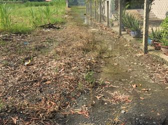 Đất Bình Chánh Giá Rẻ Ở Đâu? Tân Quý Tây ( 1191 M2 Có Ít Thổ Cư Giá 2.7 Tỷ ).