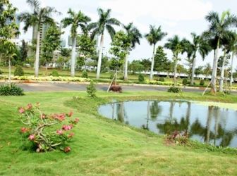 Chính Chủ Bán Đất Nền Everrich 3 Tại Trung Tâm Q7, Dt 144m2 Giá Chỉ 45 Tr/m2 Tốt Nhất Phú Mỹ Hưng!