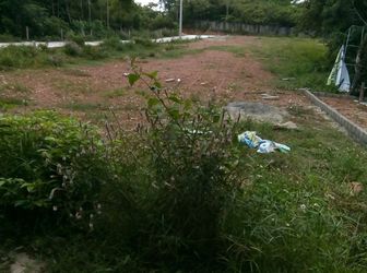 Bán Đất Đường Thanh Hải - Quảng Tế - Đặc Điểm : 104m2 + Đường Bê Tông 5m. Có Hệ Thống Thoát Nước