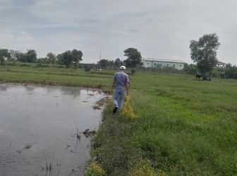 Bán Đất Nông Nghiệp Huyện Hóc Môn Giá Chỉ 450K/m2 