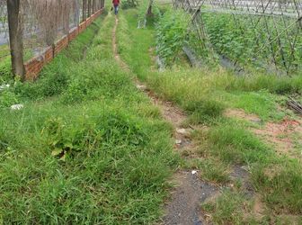 Bán Đất Nông Nghiệp Huyện Hóc Môn Giá Chỉ 450K/m2 