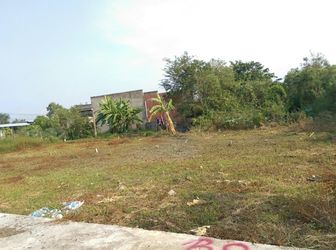 Chính Chủ Bán Gấp 2 Lô Đất Gần Cầu Cần Giuộc Giá Quá Bèo 390 Triệu.