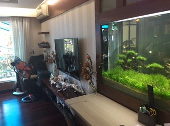 Cho Thuê Biệt Thự Hưng Thái 1, Nhà Đẹp, Đầy Đủ Nội Thất, Giá Rẻ Chỉ 29 Triệu