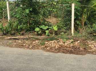 2400m2 Đường 3 Chả, Hưng Long, Bình Chánh Giá 1.4 Tr/ m2.