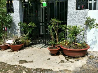 Bán Gấp Nhà Chợ Gò Đen 420 Triệu 1 Trệt 1 Lầu Sổ Hồng Riêng 