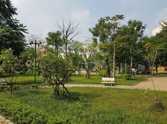 Bán Đất Phân Lô Vip Trần Quang Diệu Ôtô Tránh, Vỉa Hè, Kd 15.5 Tỷ