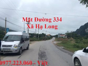 Cần Bán Đất Mặt Đường 334 Thôn 4 Xã Hạ Long, Vân Đồn. 