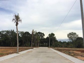 Bán Đất Phú Quốc, Đường Cây Thông Ngoài Chiết Khấu 16% Đến Cuối Tháng