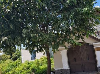 Bán Đất Chỉ 16Trm2 Dt160M2 Hẻm Xe Hơi 274 Nguyễn Văn Tạo,Nhà Bè 