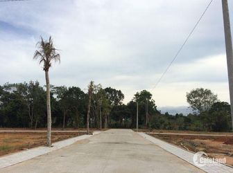 Mua Đất Ngay Khi Còn Chiết Khấu Khủng 16% Giá Chỉ 399 Tr/nền