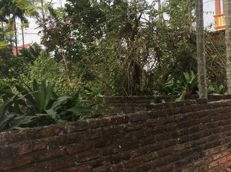 Bán Gấp Mảnh Đất 51,8M2 Ngõ Rộng 3,5M Ô Tô 7 Chỗ Đi Qua Ở Yên Nghĩa- Quận Hà Đông – 0902.900.884  