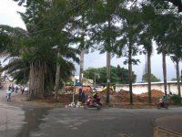 Đất Mặt Tiền Đường Quang Trung Q9 ( Gần Ngã Tư Thủ Đức)