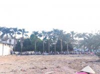 Đất Mặt Tiền Đường Quang Trung Q9 ( Gần Ngã Tư Thủ Đức)