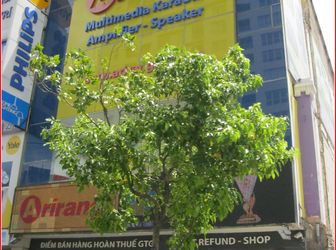 Cho Thuê Góc 2 Mặt Tiền Bùi Thị Xuân, Quận 1